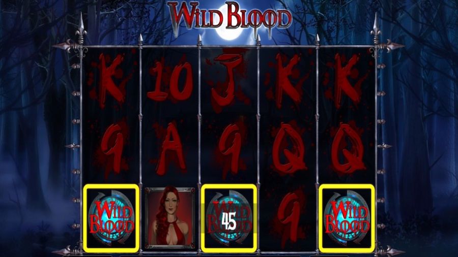 Wild Blood Bonus - -