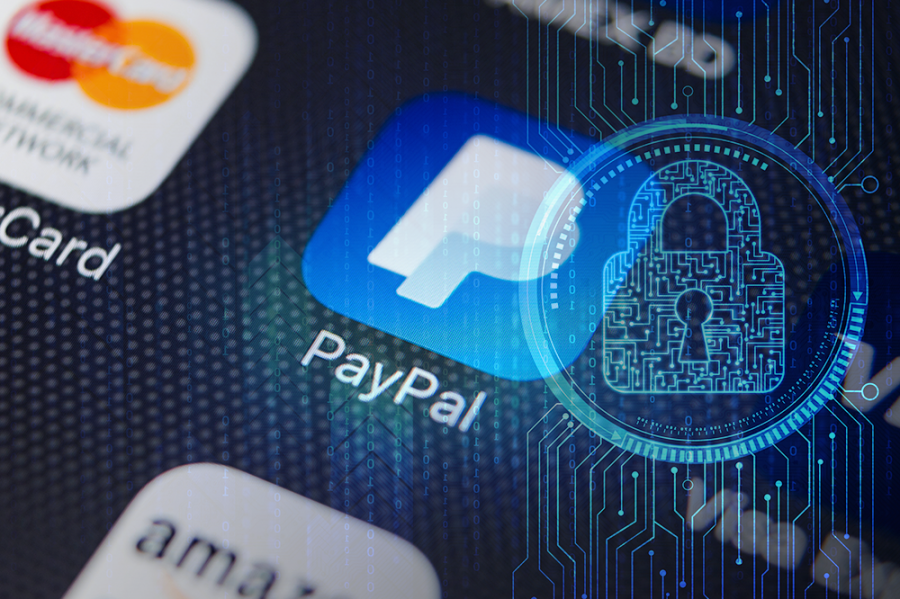 Paypal Security And Privacy Policy - -