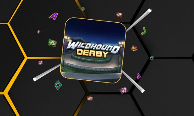 Wildhound Derby - -