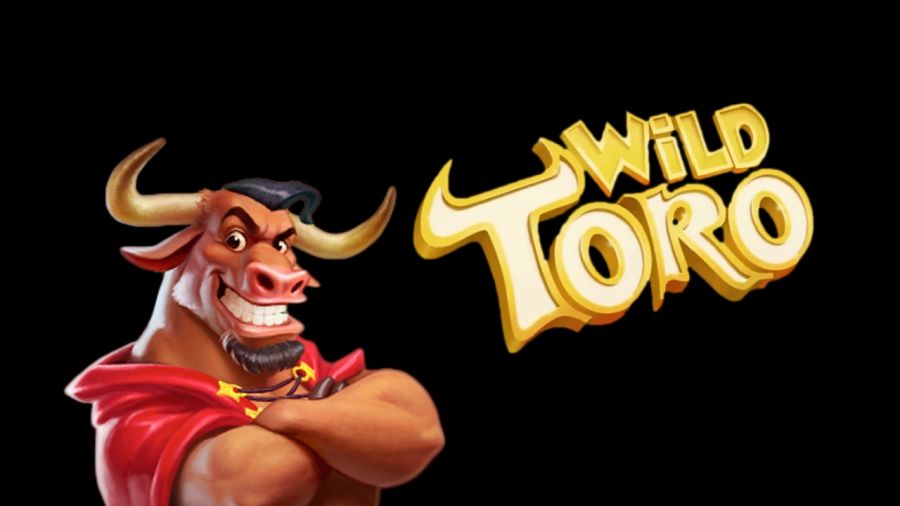 Wild Toro 1 - -